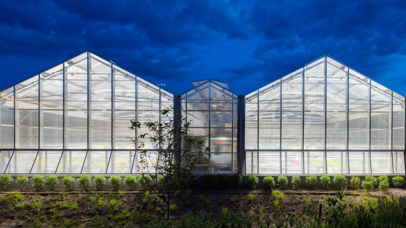 night image of greenhouse